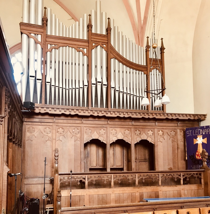 The organ